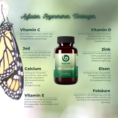 Aufladen, Regenerieren, Vorbeugen - unsere Basisversorgung mit Vitamin C, D und E, Folsäure, Calcium, Zink, Eisen, Jod