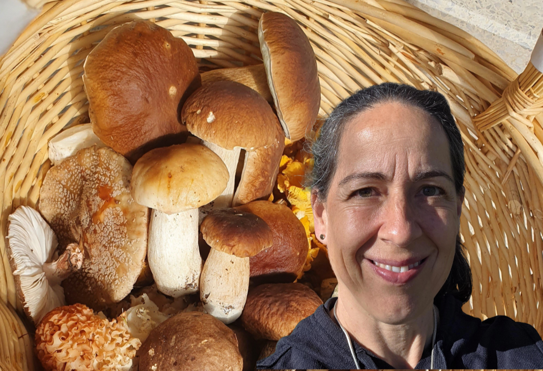 Interview mit Sara von @potz_pilz: „Wir haben das Potenzial der Pilze noch nicht erkannt.“
