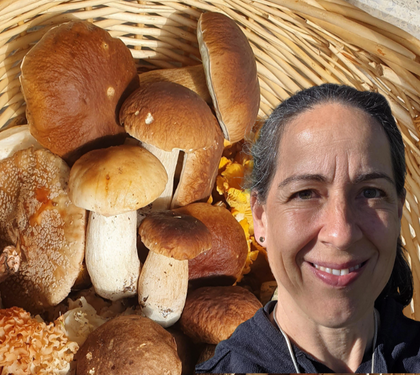 Interview mit Sara von @potz_pilz: „Wir haben das Potenzial der Pilze noch nicht erkannt.“