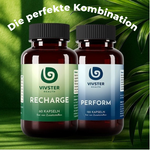 Nahrungsergänzung Kombination für Basisversorgung und Regeneration