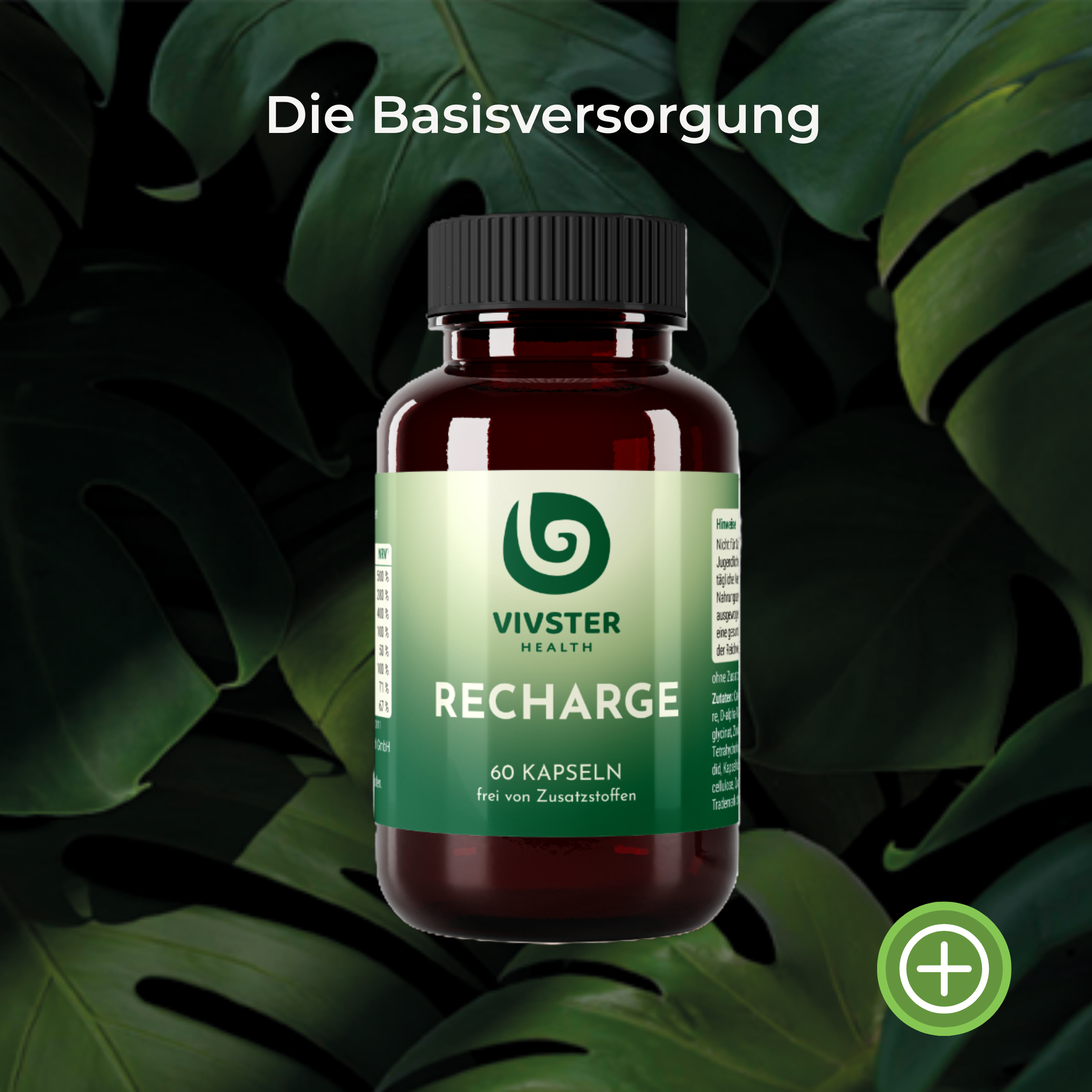 Die Basisversorgung mit den wichtigsten Wirkstoffen, wie Vitamin C, D und E, Folsäure, Calcium, Zink, Eisen, Jod 