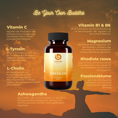 Supplements gegen Stress mit Vitaminen, Cholin, Ashwagandha und Rhodiola